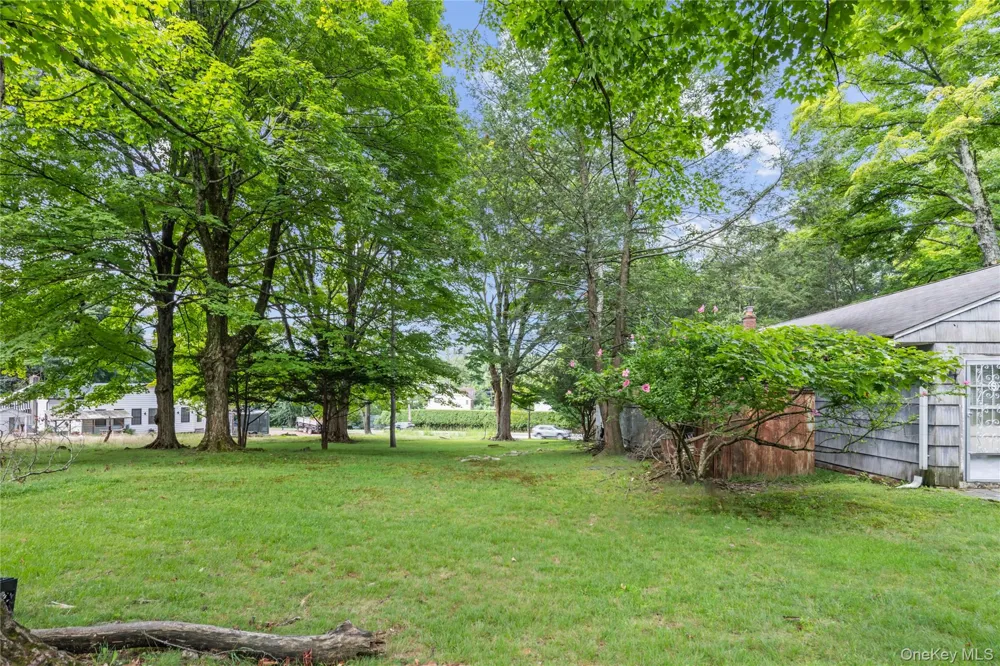 1A Langeries Drive Monsey, NY 10952