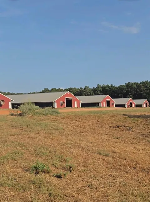 2094 County Road 848