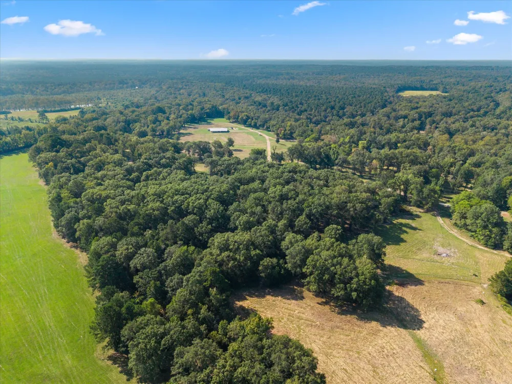 1602 TX HWY 49 Jefferson, TX 75657