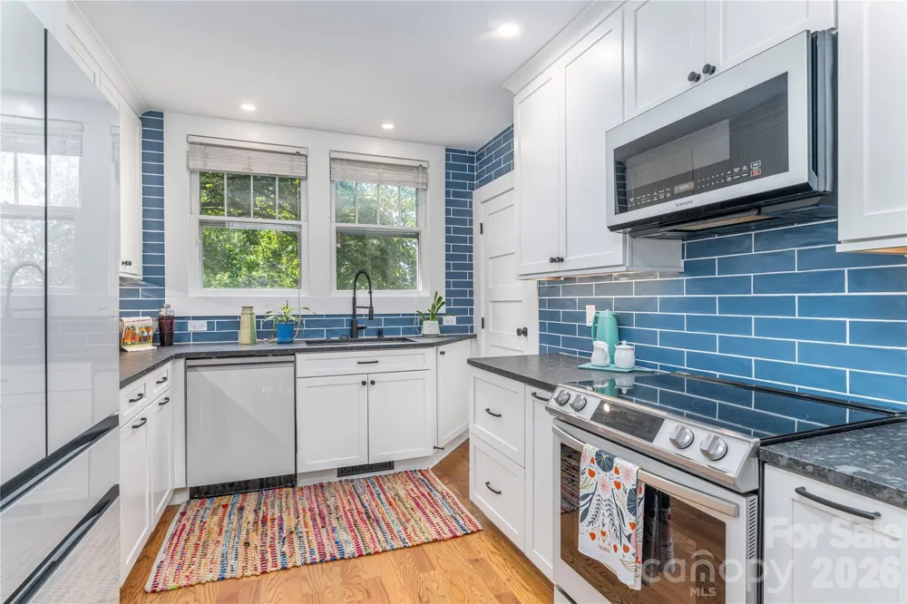 6 Birch Street Asheville, NC 28801