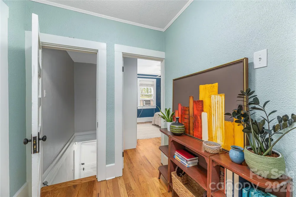 6 Birch Street Asheville, NC 28801
