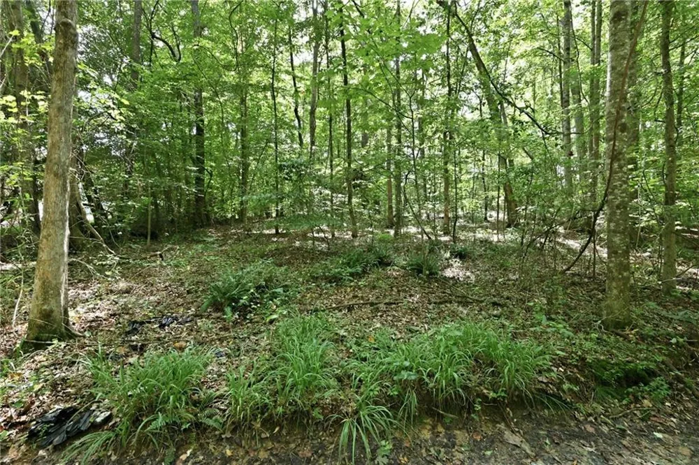 4829 Old Pendergrass Road Jefferson, GA 30549