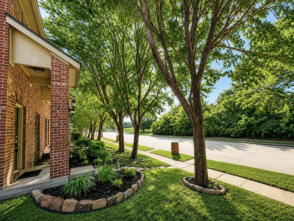 2159 Colby Lane Wylie, TX 75098
