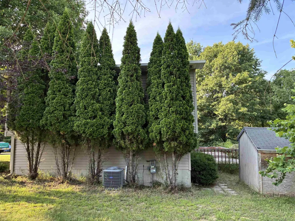 6228 Applewood Lane Whitewater Township, MI 49690