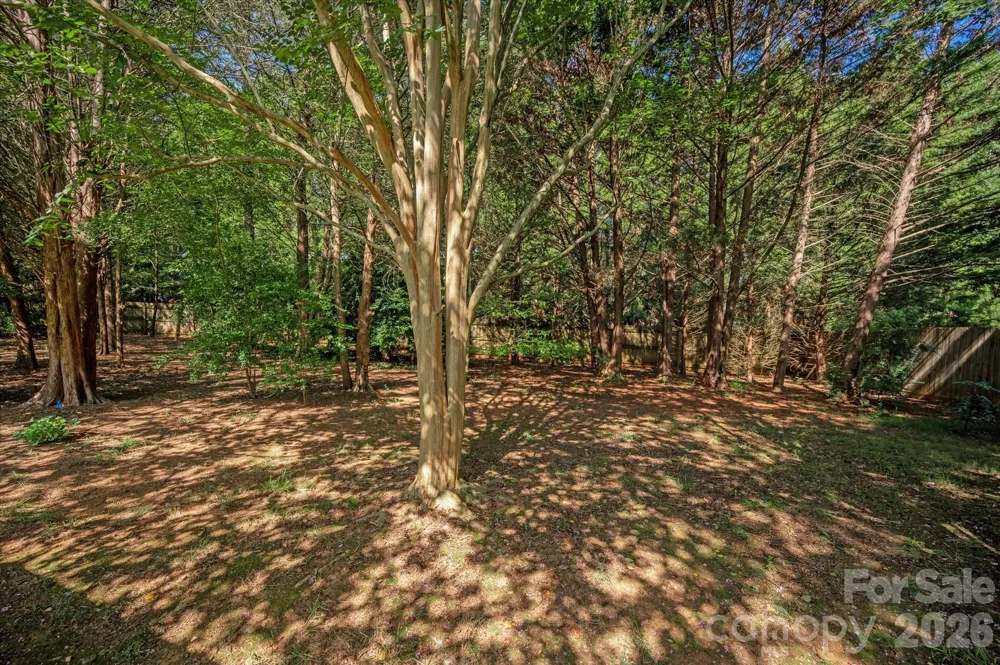 1913 Windmere Drive Monroe, NC 28110
