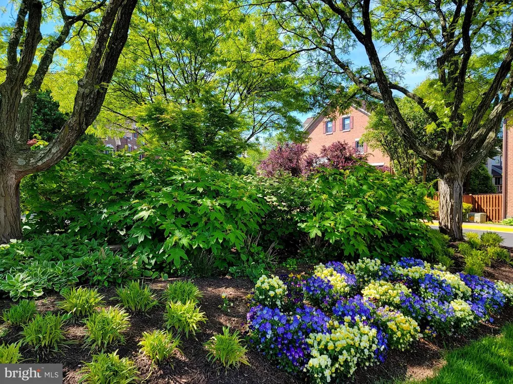 6320 MANCHESTER WAY Alexandria, VA 22304