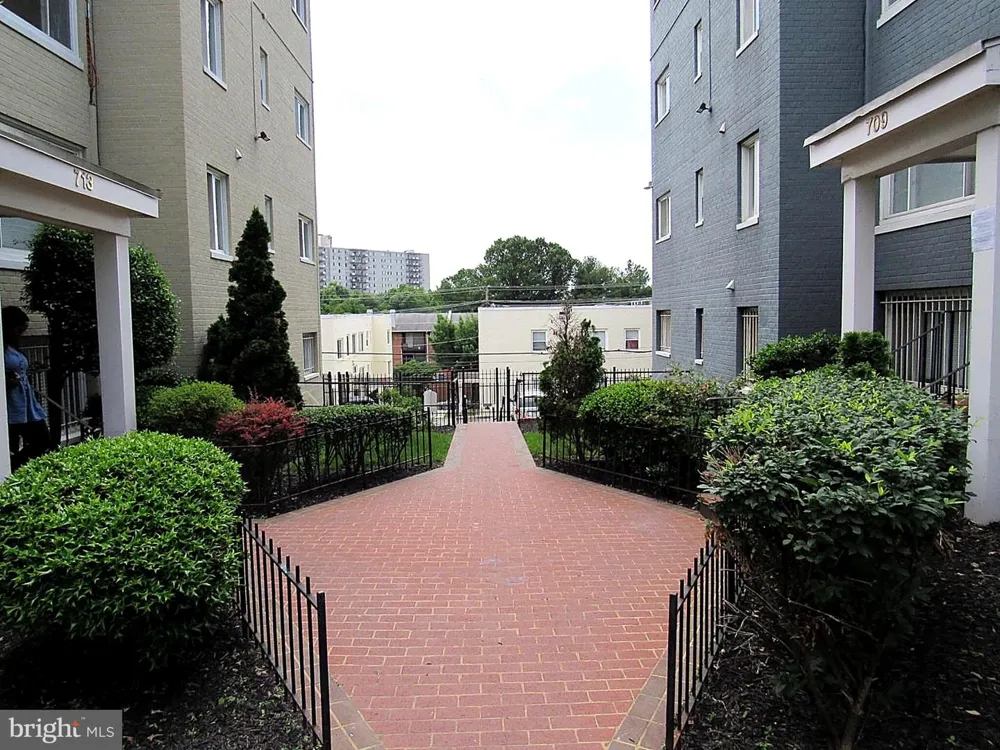 713 BRANDYWINE STREET SE #B3 Washington, DC 20032