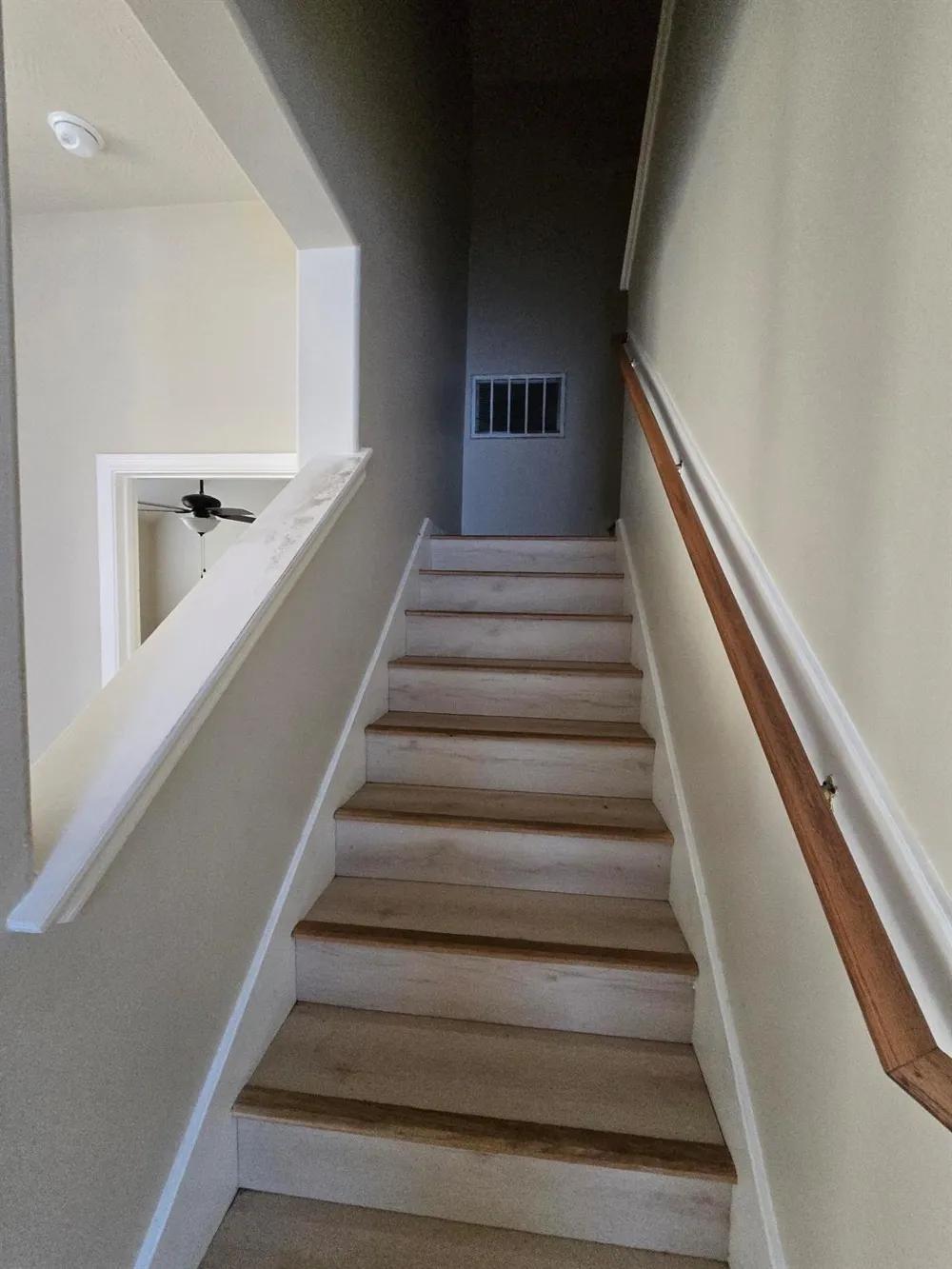 3730 Liberty Square Trl Fresno, TX 77545