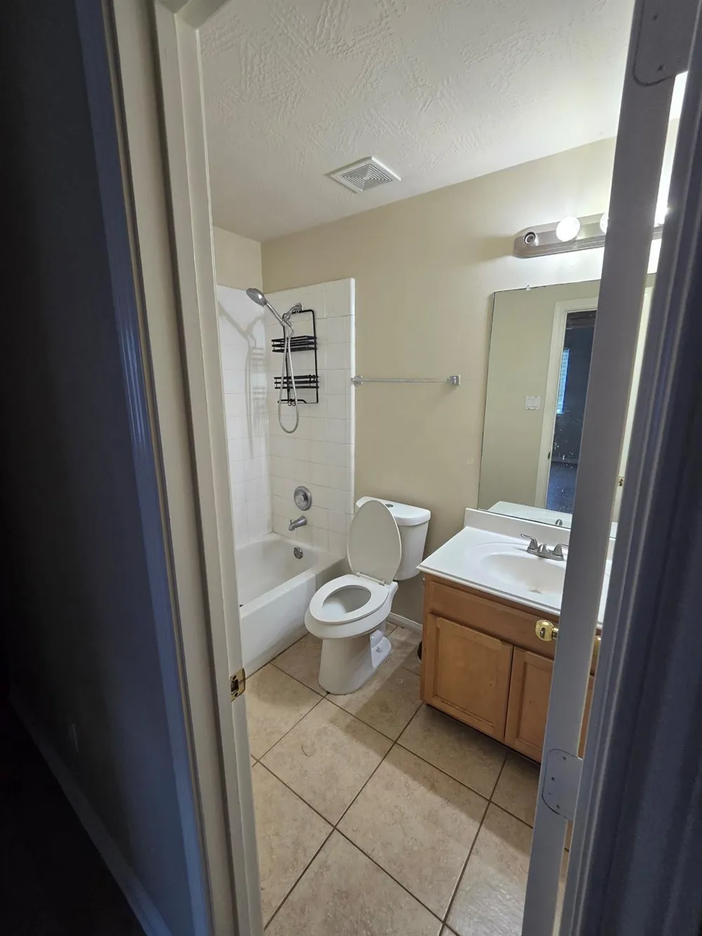 3730 Liberty Square Trl Fresno, TX 77545