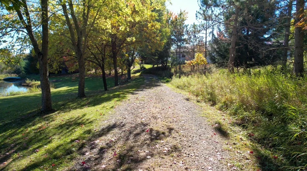 1542 Campbell Road Rose City, MI 48654