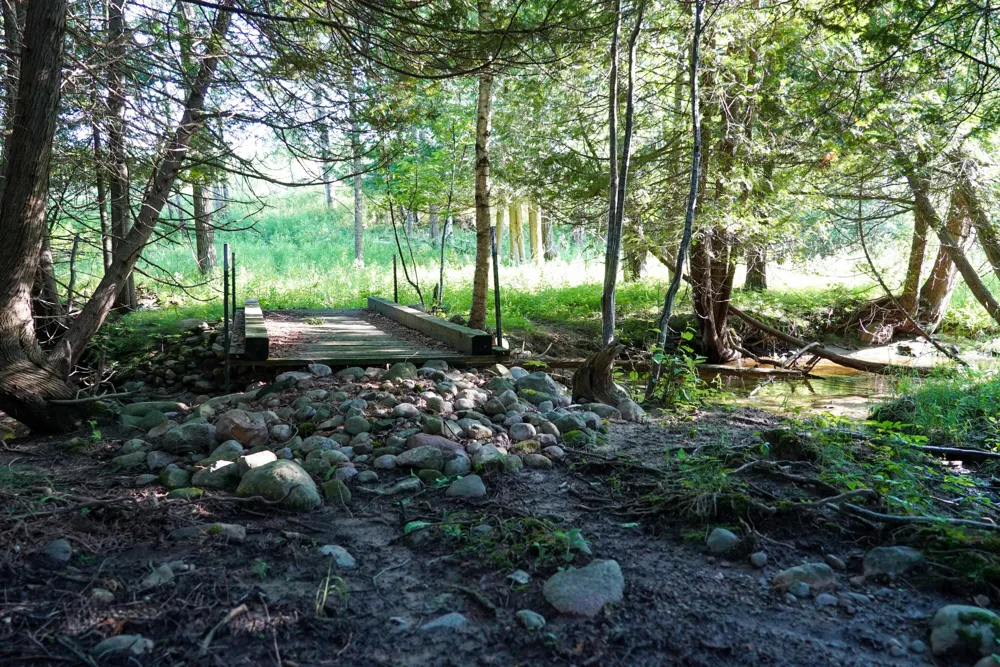 1542 Campbell Road Rose City, MI 48654