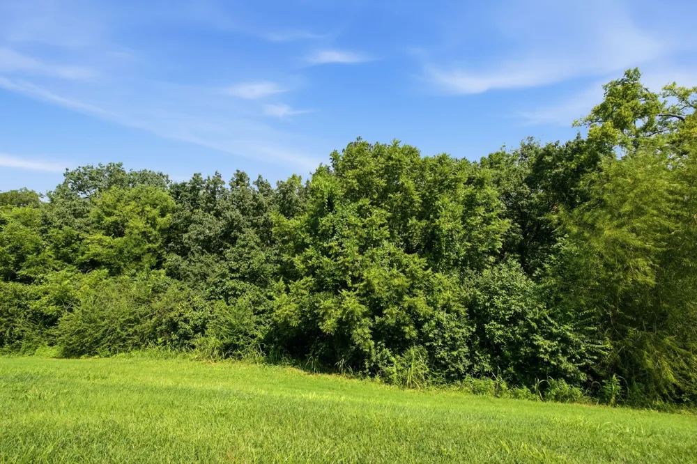 395 Devon Chase Hl #5603 Gallatin, TN 37066