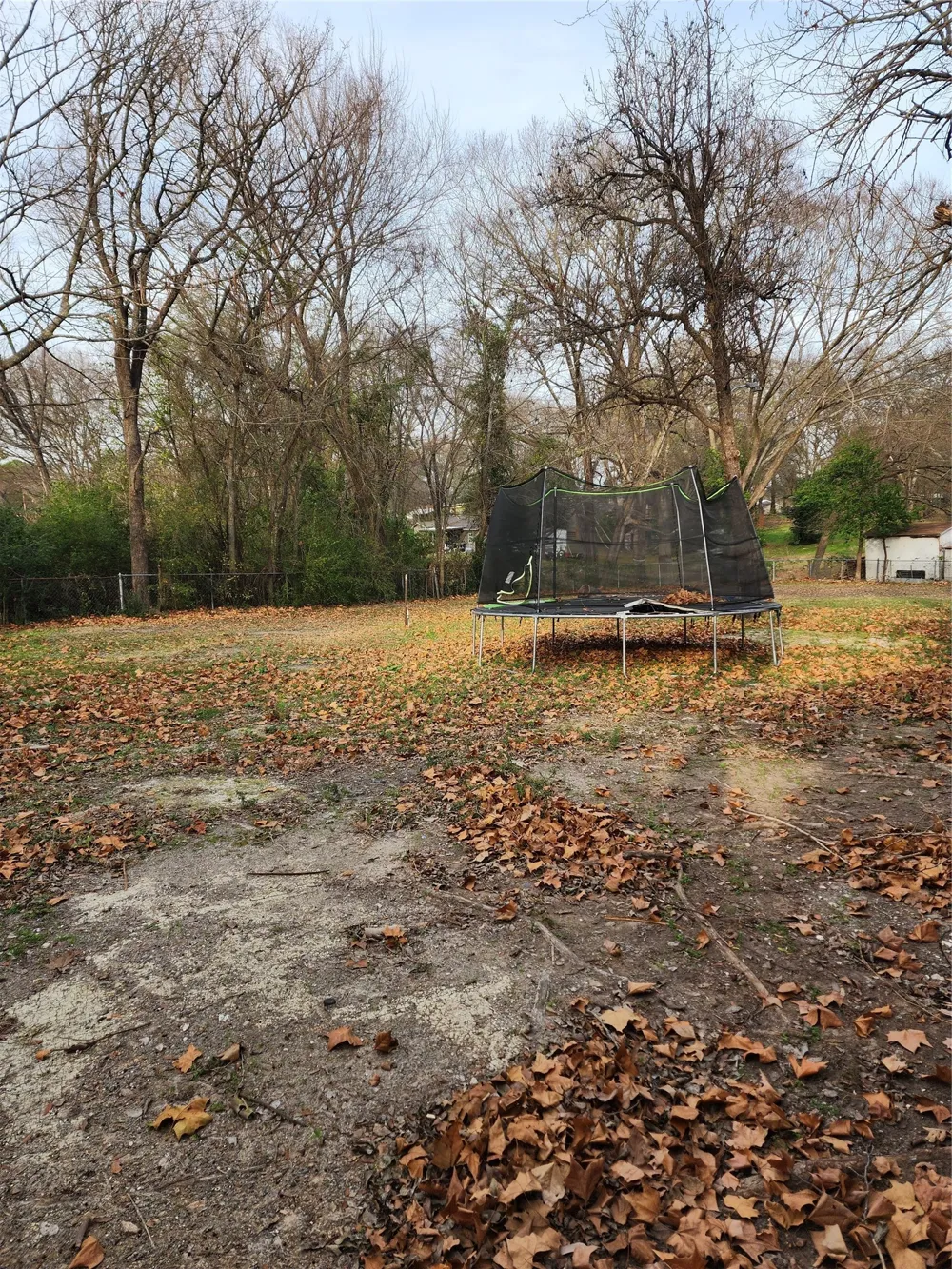 121 Dardenwood Way Payne Springs, TX 75156