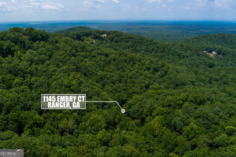 1145 Embry CT Ranger, GA 30734