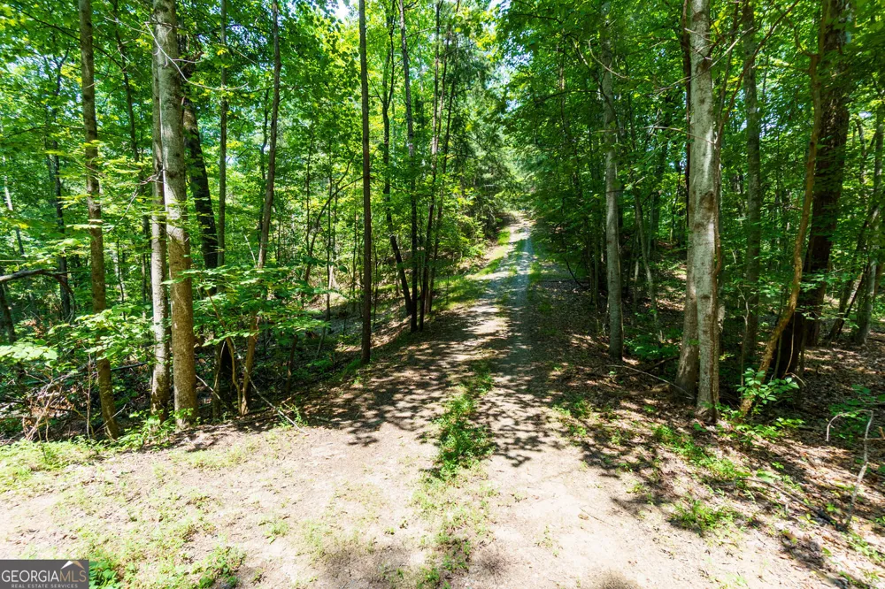 1145 Embry CT Ranger, GA 30734