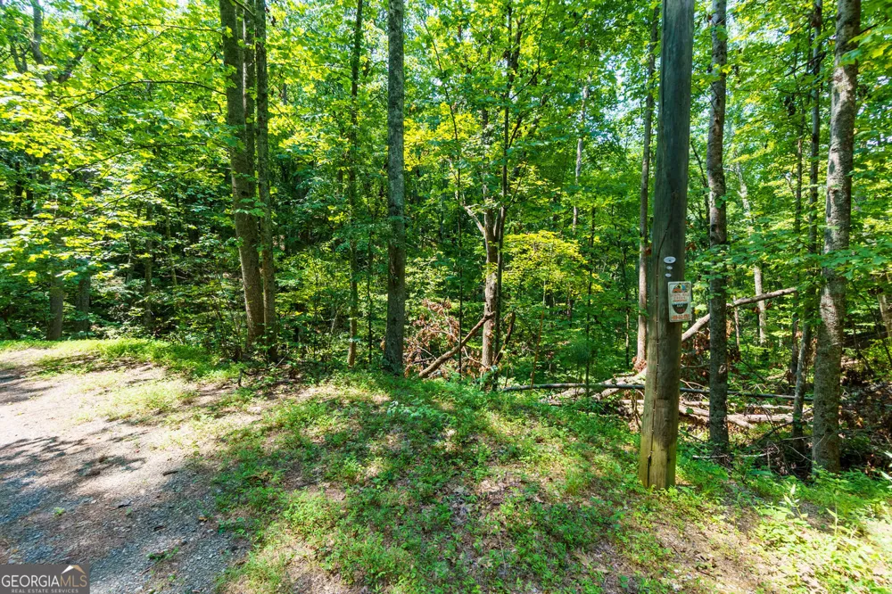 1145 Embry CT Ranger, GA 30734