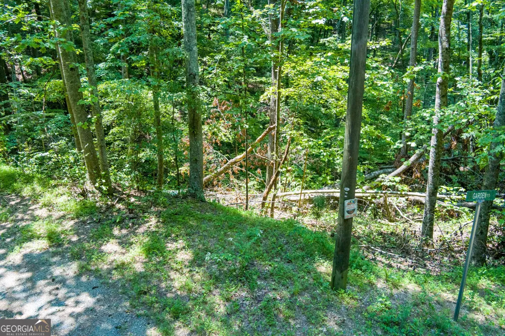 1145 Embry CT Ranger, GA 30734