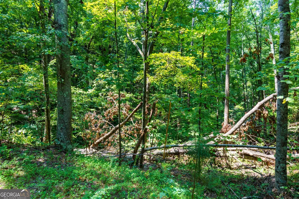 1145 Embry CT Ranger, GA 30734