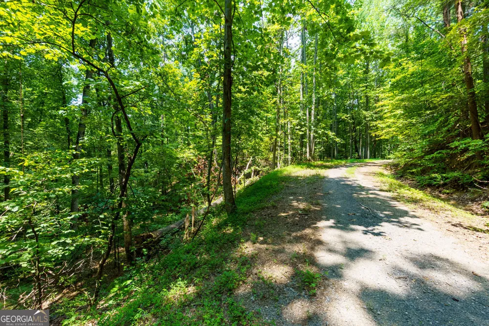 1145 Embry CT Ranger, GA 30734