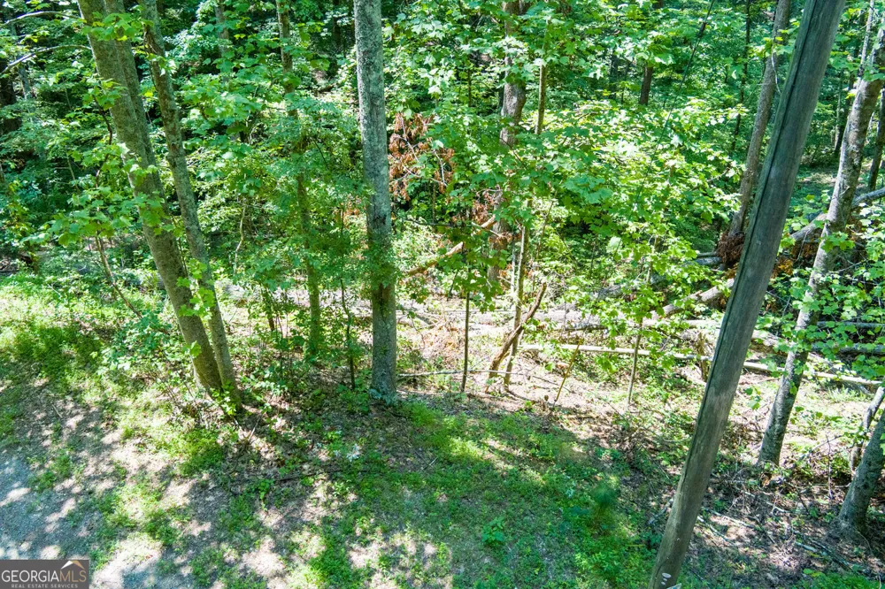 1145 Embry CT Ranger, GA 30734