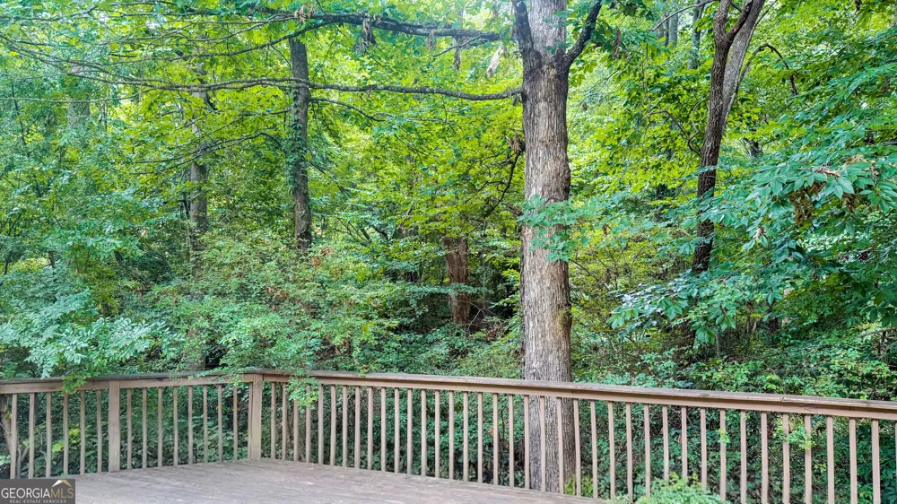 3040 Goldmist DR Buford, GA 30519