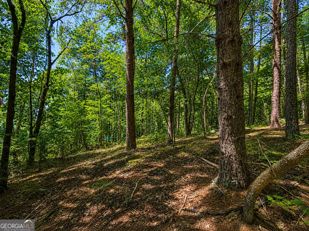 1652 Sable CT Talking Rock, GA 30175