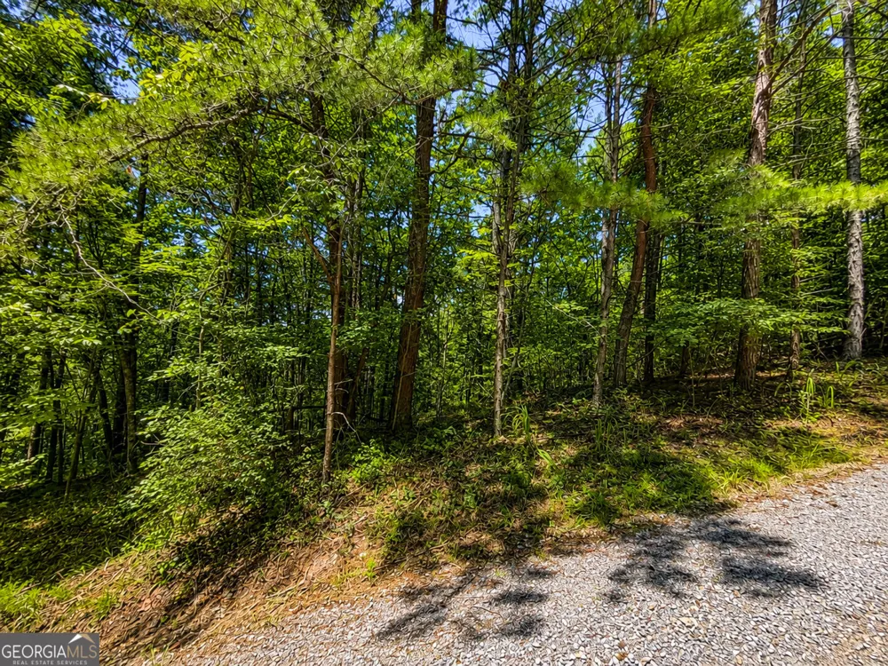 1652 Sable CT Talking Rock, GA 30175