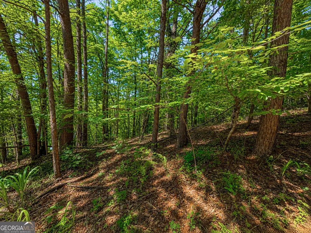 1652 Sable CT Talking Rock, GA 30175