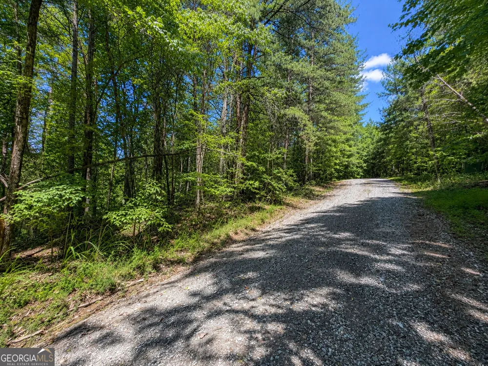 1652 Sable CT Talking Rock, GA 30175