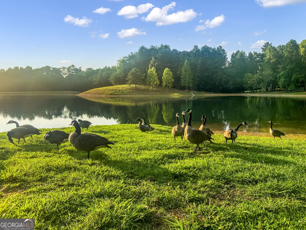 1652 Sable CT Talking Rock, GA 30175