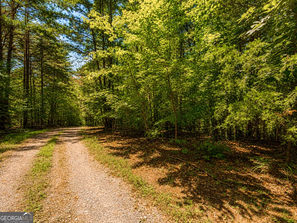 1652 Sable CT Talking Rock, GA 30175