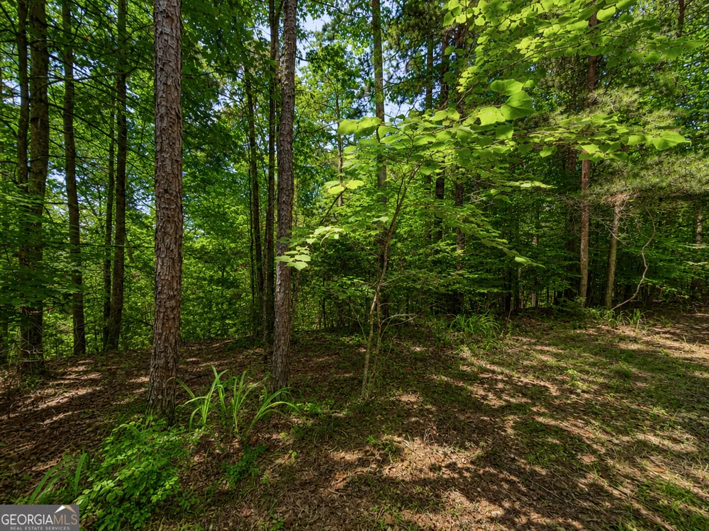 1652 Sable CT Talking Rock, GA 30175