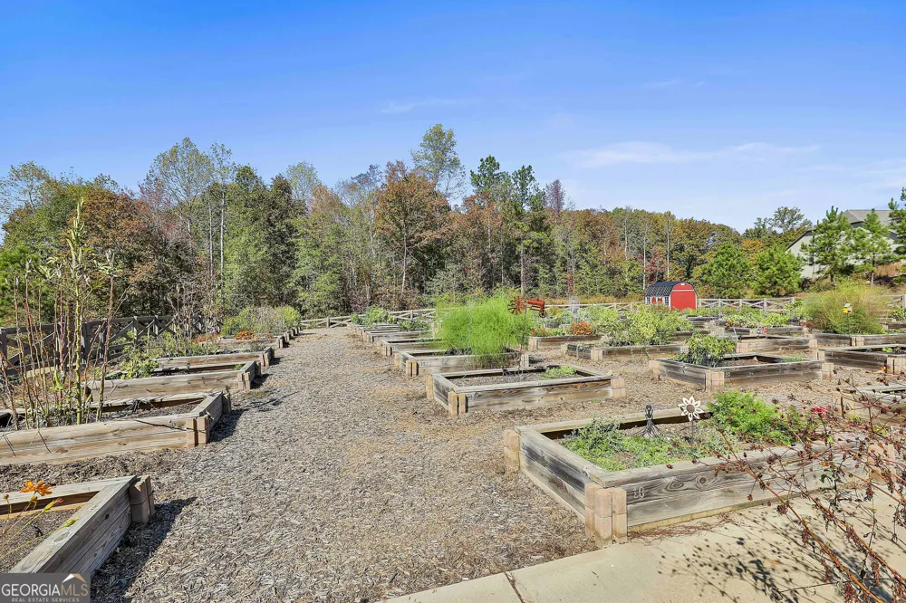 222 Silver Maple CT Peachtree City, GA 30269