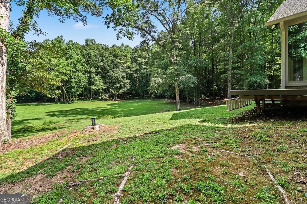 4098 Happy Valley CIR Newnan, GA 30263
