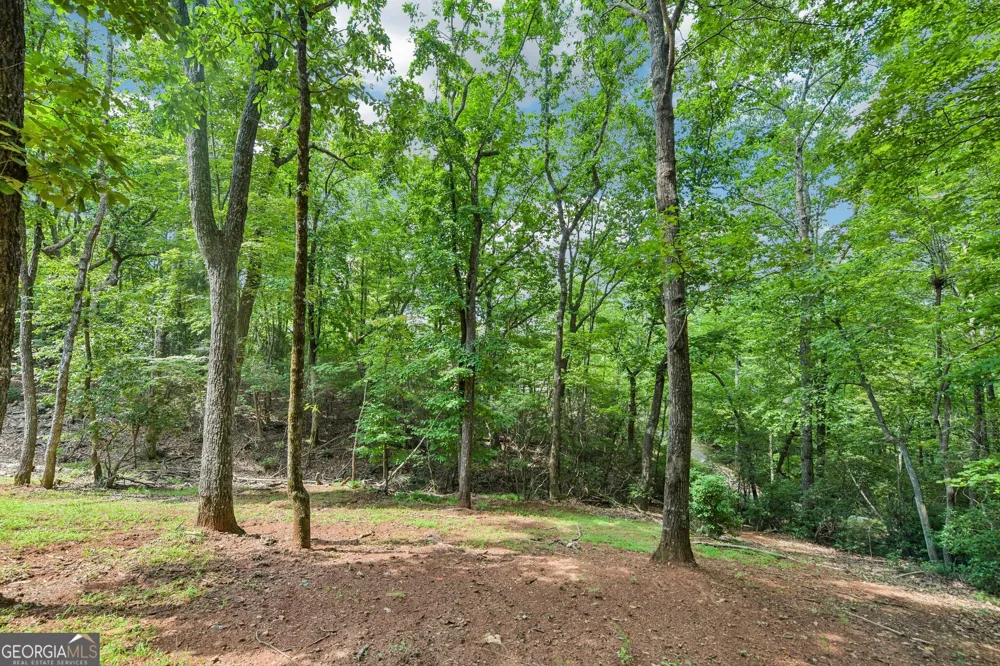 462 Ranch Mountain DR Dahlonega, GA 30533