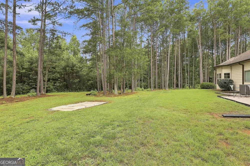19 Rock House Estates DR Senoia, GA 30276