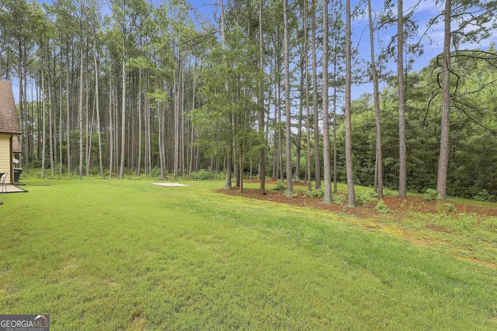 19 Rock House Estates DR Senoia, GA 30276