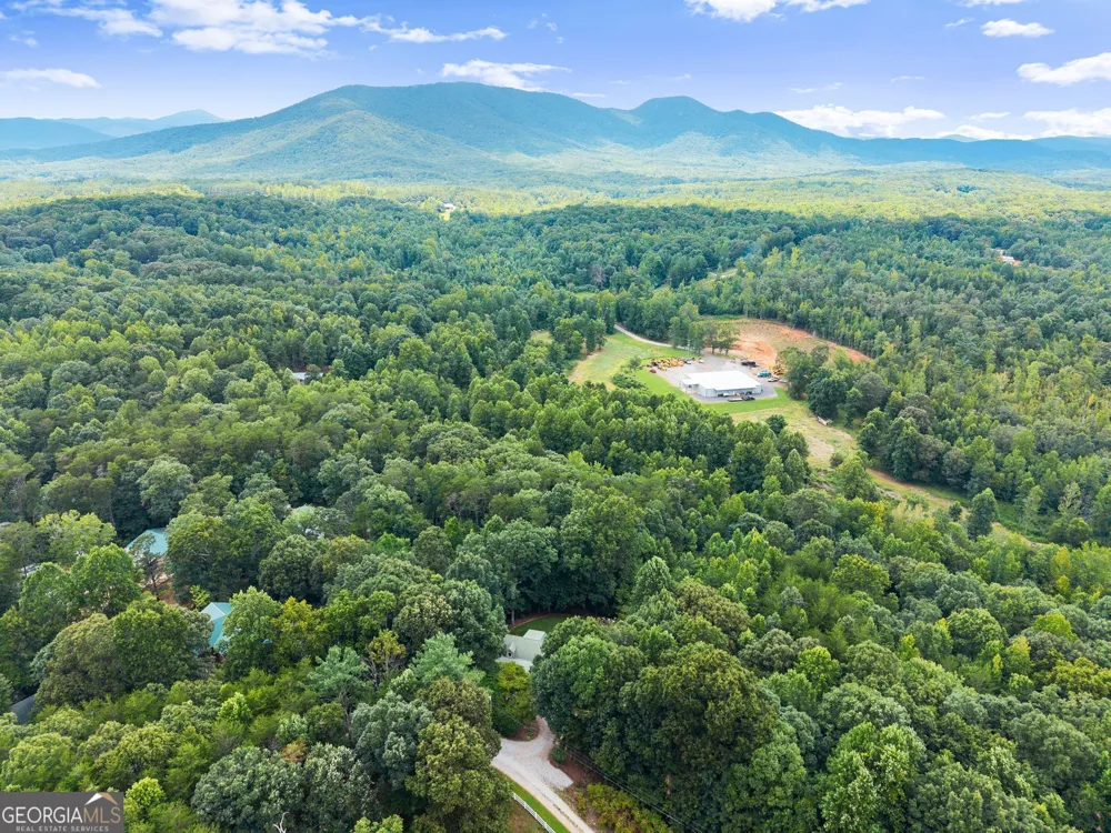 481 Leona LN Cleveland, GA 30528