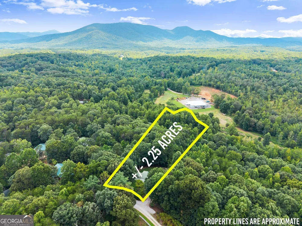 481 Leona LN Cleveland, GA 30528