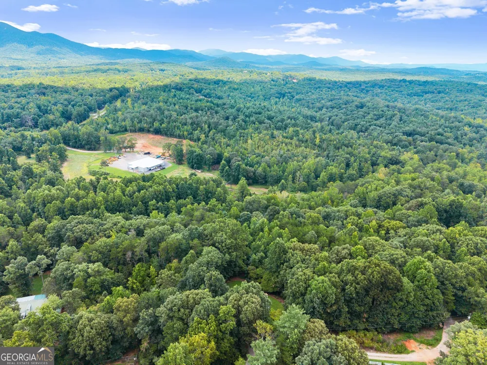 481 Leona LN Cleveland, GA 30528