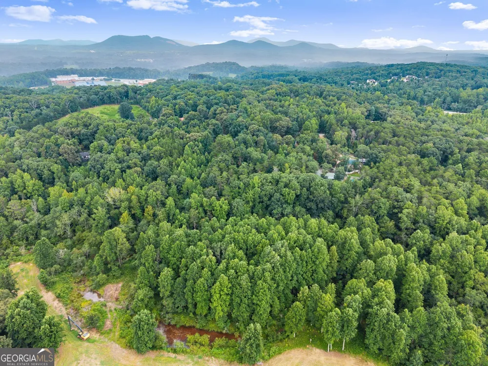 481 Leona LN Cleveland, GA 30528