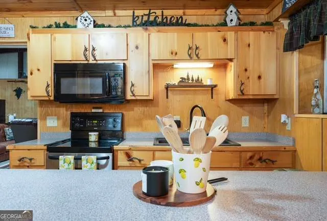 19 Ladybug LN Blue Ridge, GA 30513