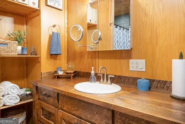 19 Ladybug LN Blue Ridge, GA 30513
