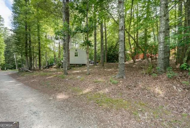 19 Ladybug LN Blue Ridge, GA 30513