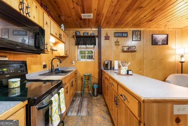19 Ladybug LN Blue Ridge, GA 30513