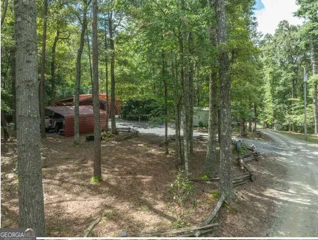 19 Ladybug LN Blue Ridge, GA 30513