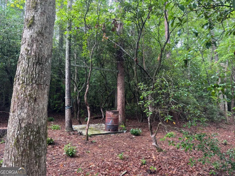 19 Ladybug LN Blue Ridge, GA 30513