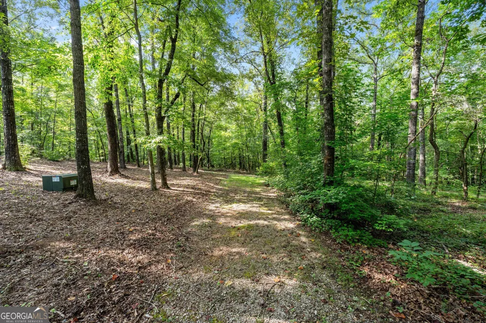 4165 Glenn RD Franklin, GA 30217