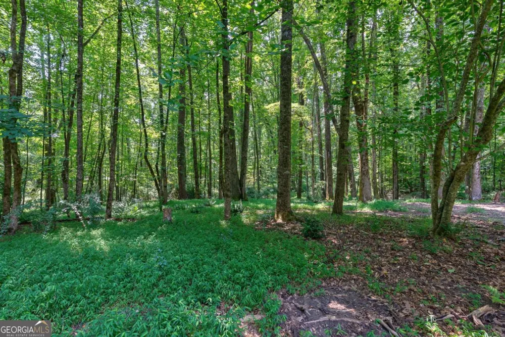 152 Thornhill DR Athens, GA 30607