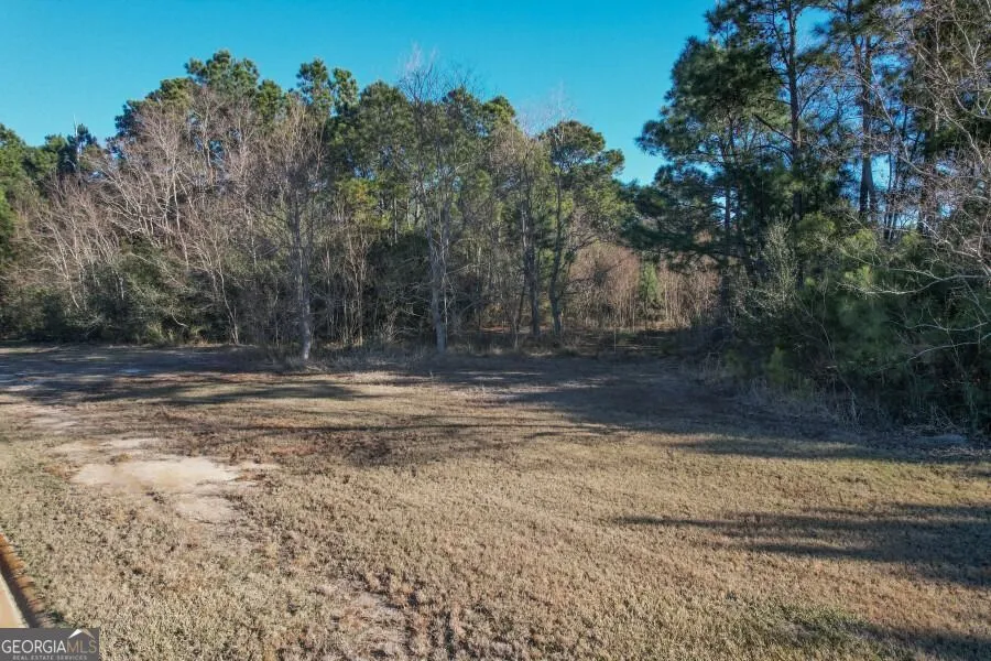 LOT 46 Laughing Gull Hideaway DR Midway, GA 31320